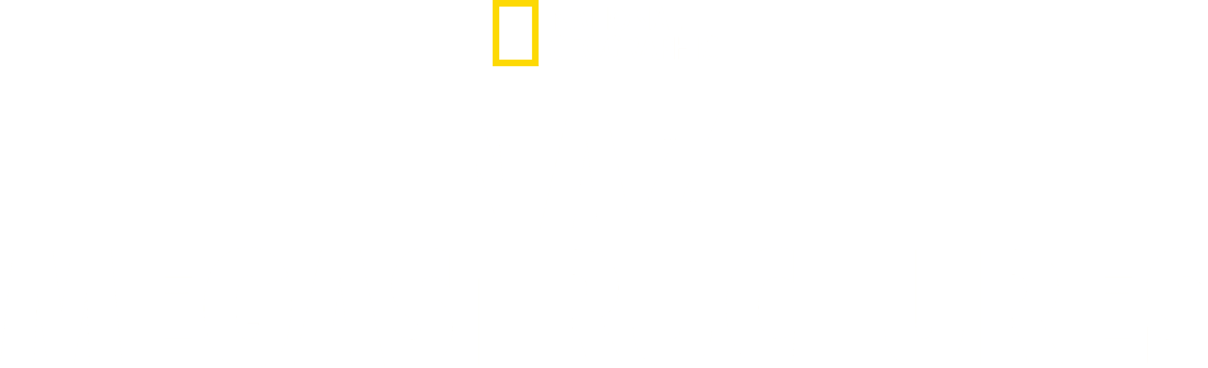 Nazi Megastructures logo
