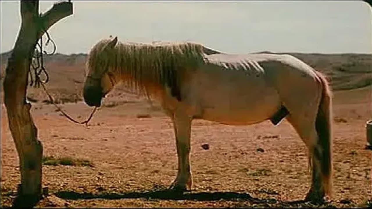 Season of the Horse backdrop