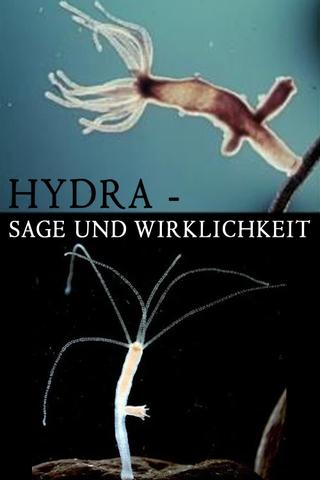 Hydra - Legend and Reality poster