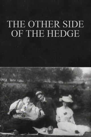 The Other Side of the Hedge poster