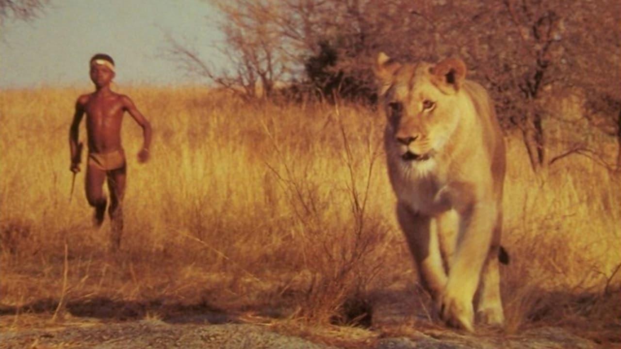 The Lion Child backdrop