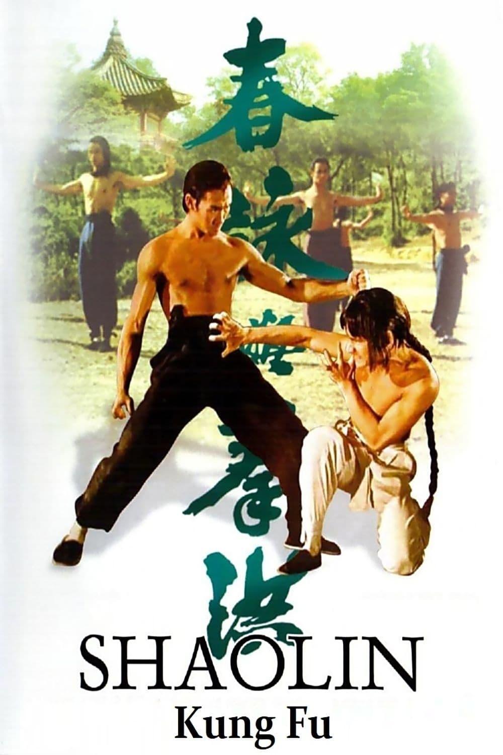 Shaolin Kung Fu poster