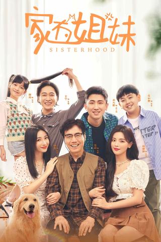 Sisterhood poster