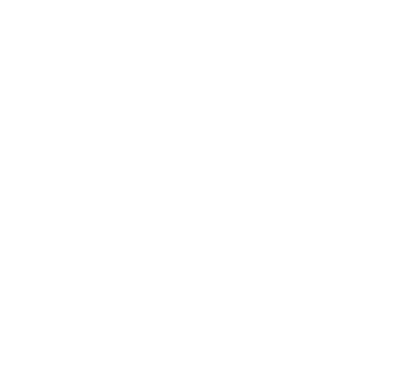 She's Too Young logo