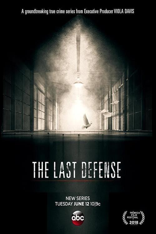 The Last Defense poster