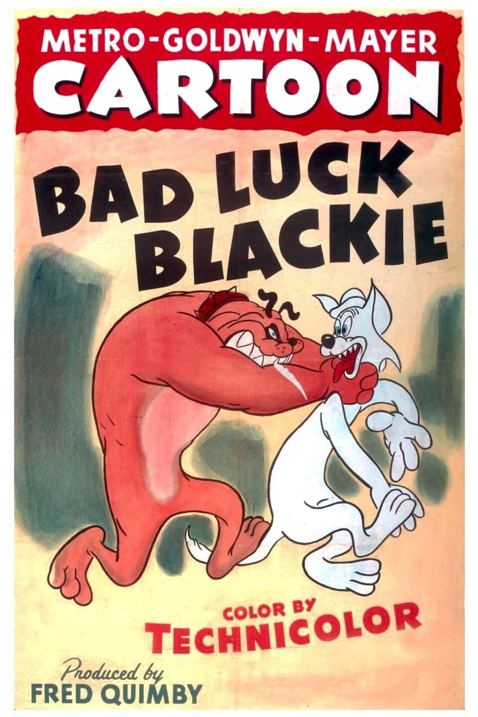 Bad Luck Blackie poster