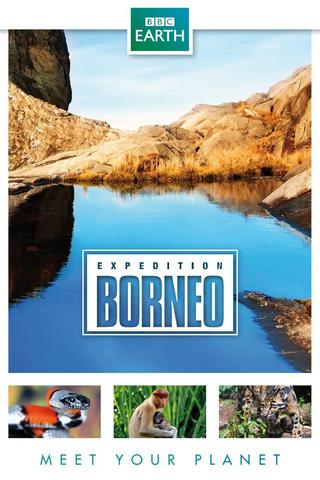 Expedition Borneo poster
