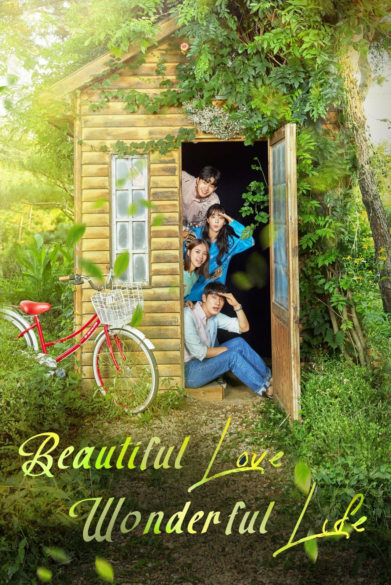 Beautiful Love, Wonderful Life poster