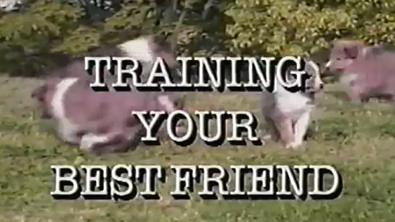 Training Your Best Friend backdrop