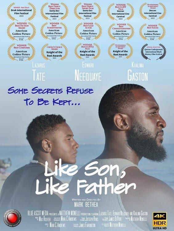 Like Son, Like Father poster