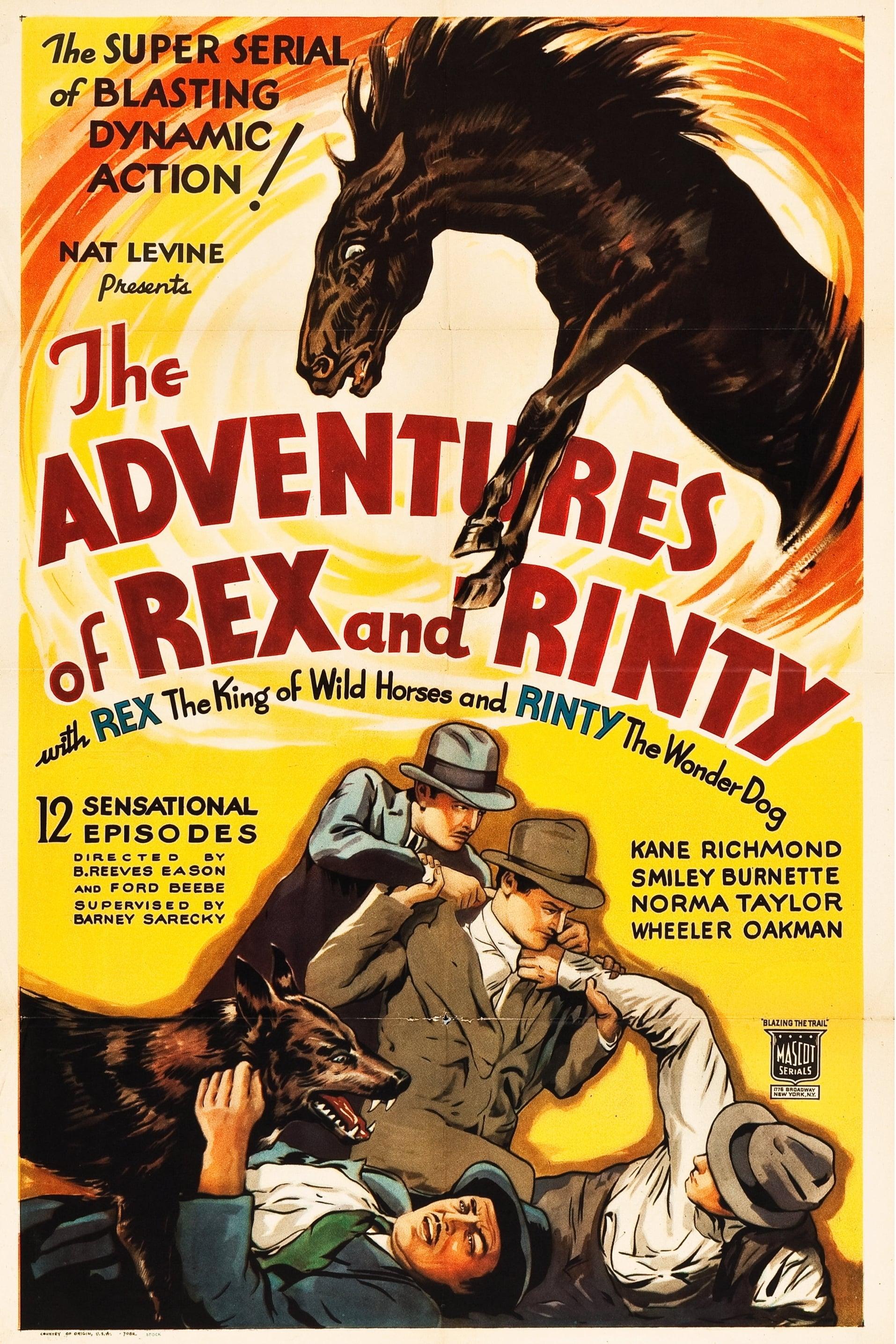 The Adventures of Rex and Rinty poster