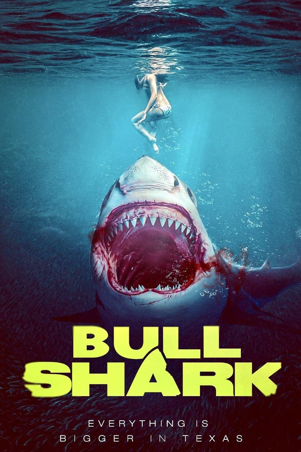 Bull Shark poster