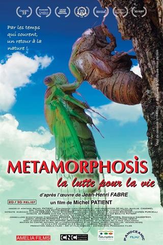 Metamorphosis, la lutte pour la vie poster