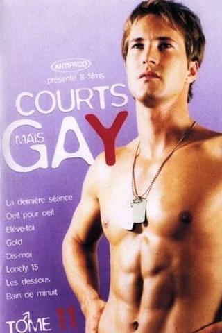 Courts mais Gay : Tome 11 poster
