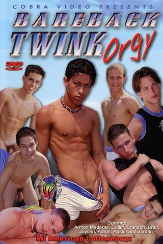 Bareback Twink Orgy poster