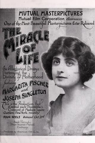 The Miracle of Life poster