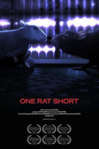 One Rat short poster