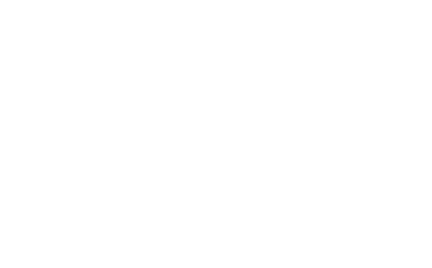 Diamond City logo