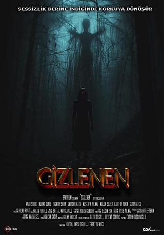 Gizlenen poster