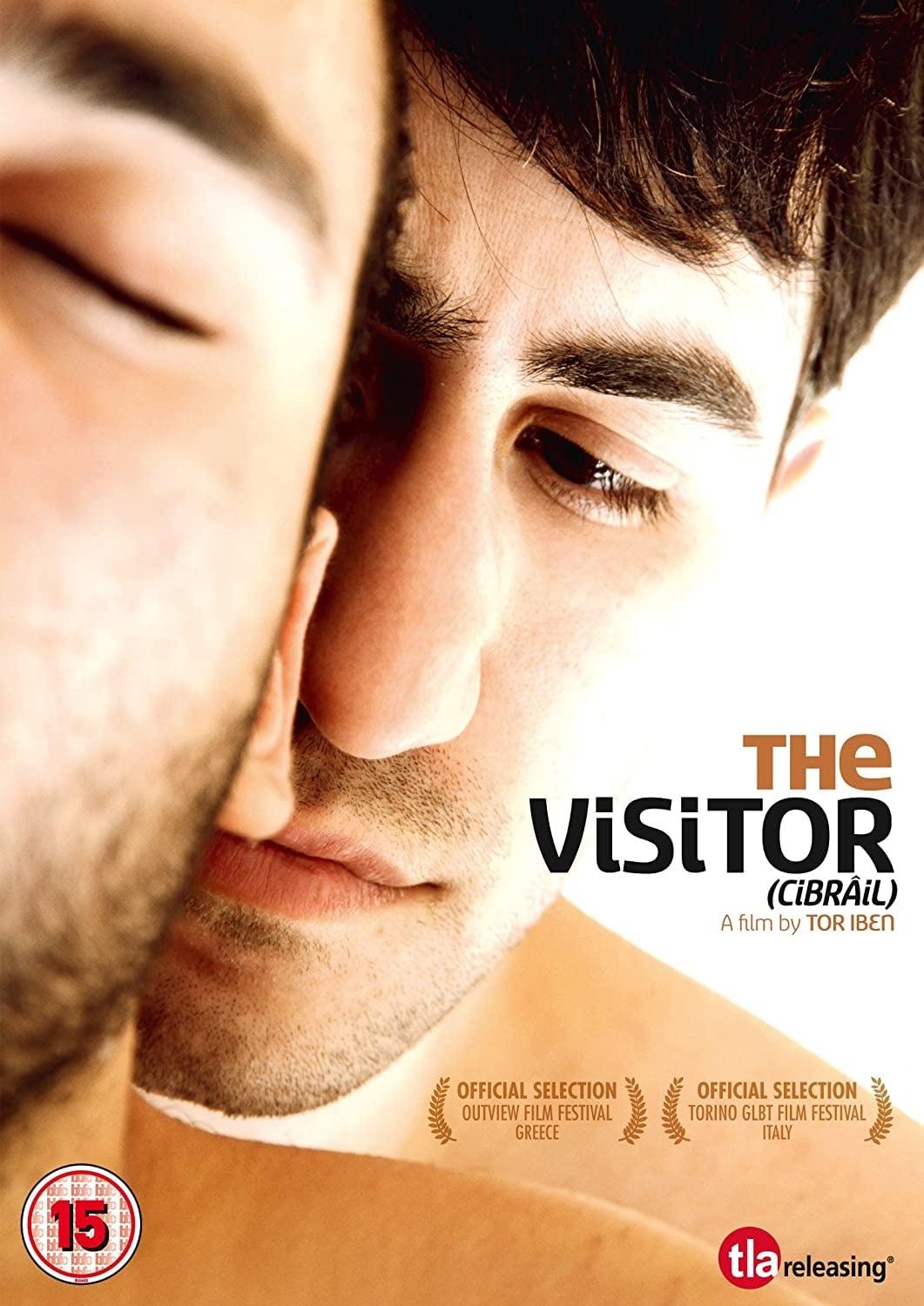 The Visitor poster