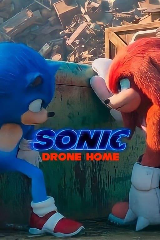 Sonic Drone Home poster