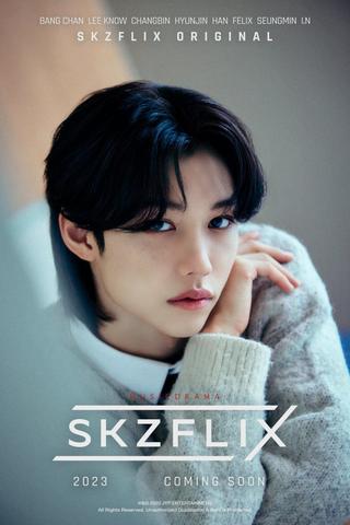 SKZFLIX (樂-STAR) poster