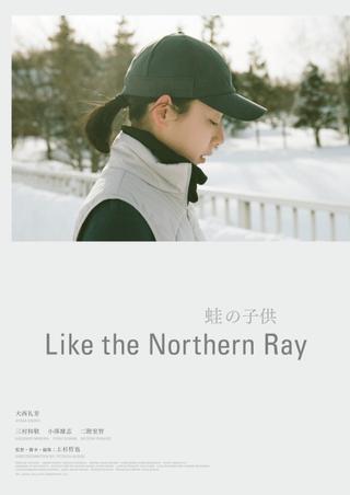 Like the Northern Ray poster