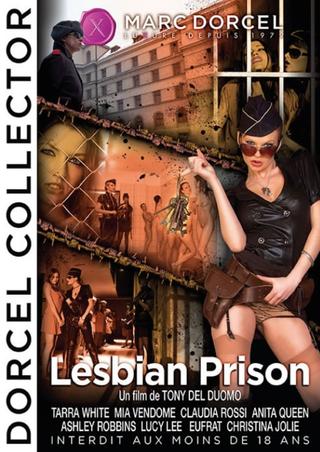 Lesbian Prison poster
