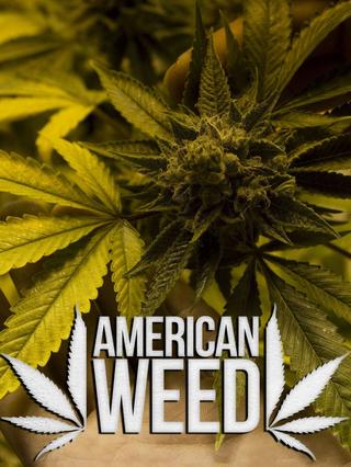 American Weed poster
