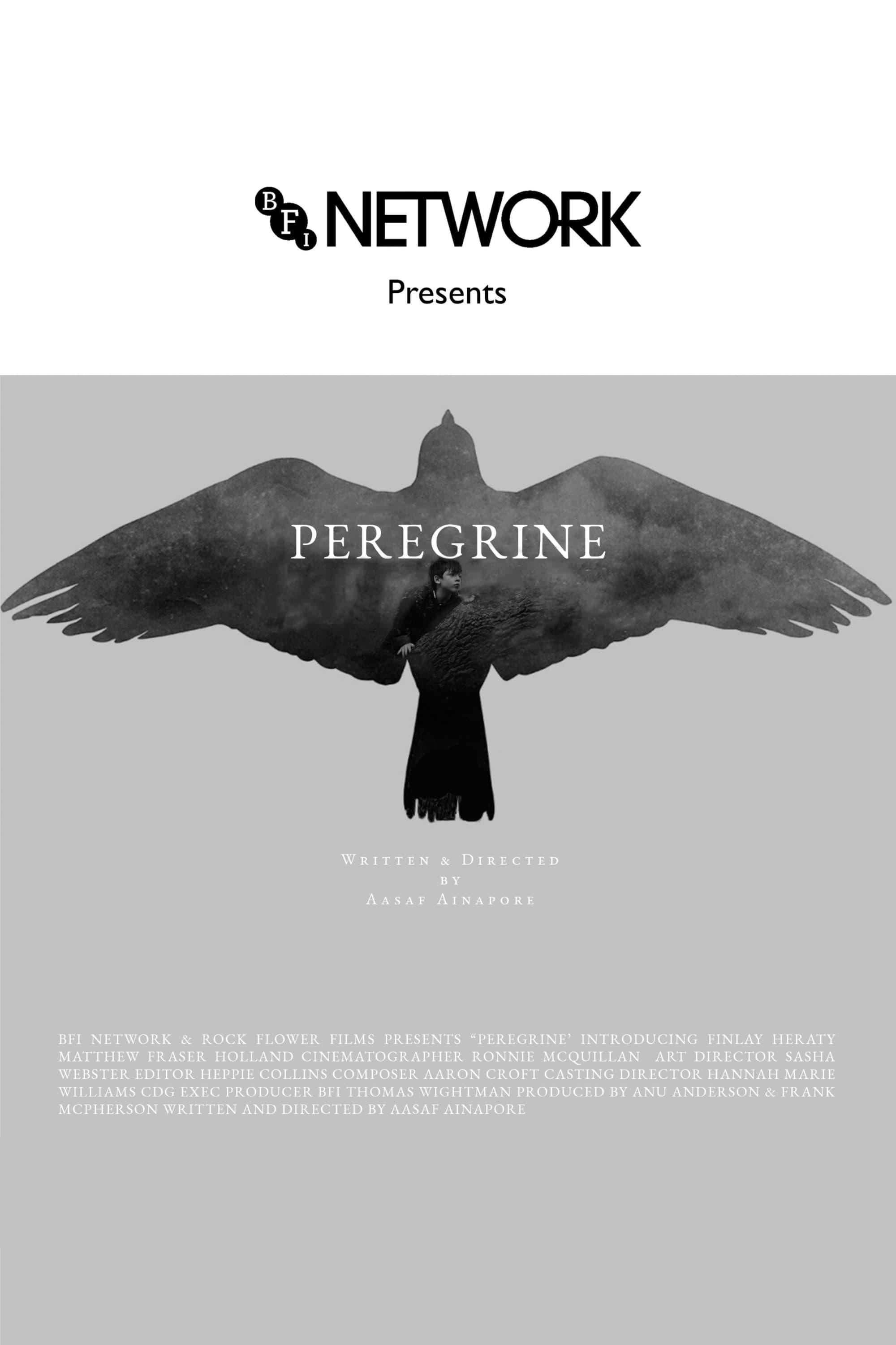 Peregrine poster