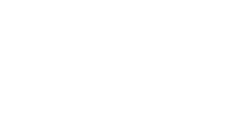 Exes Baggage logo