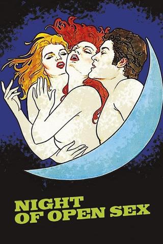 The Night Of Open Sex poster