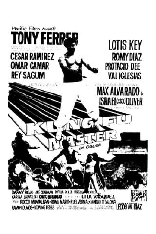 Kung Fu Master poster