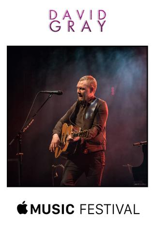 David Gray - iTunes Music Festival London poster