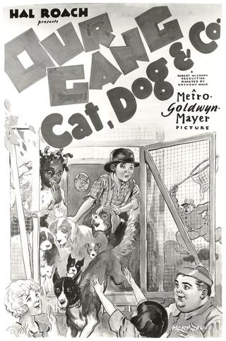 Cat, Dog & Co. poster