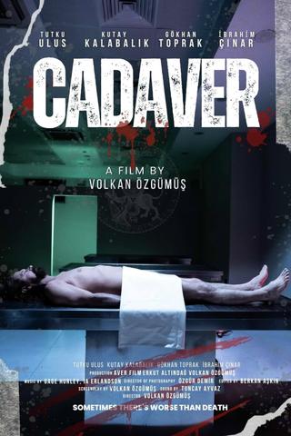 The Cadaver poster