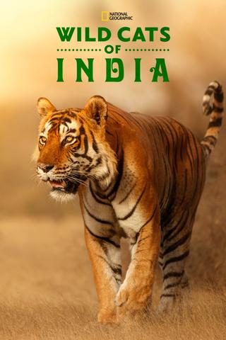 Wild Cats of India poster