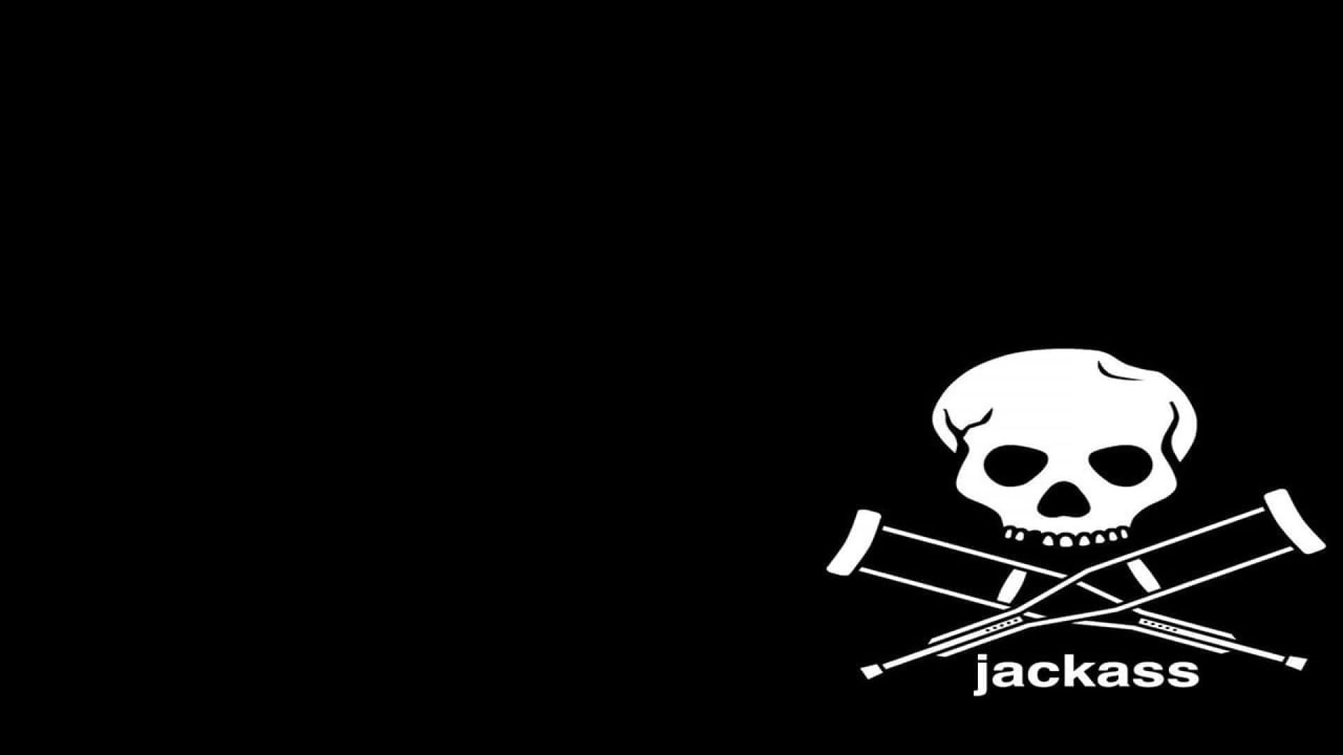 Jackass Volume One backdrop