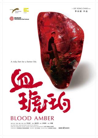 Blood Amber poster