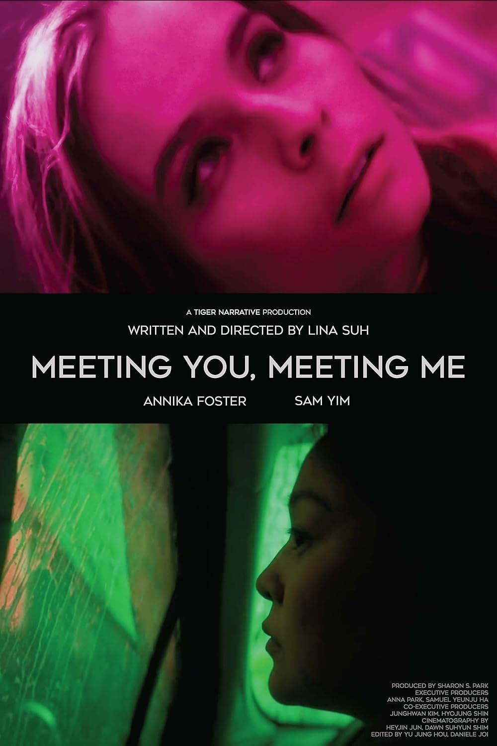 Meeting You, Meeting Me poster