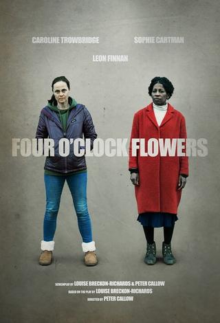 Four O'Clock Flowers poster