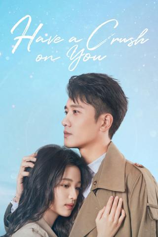 Have a Crush On You poster