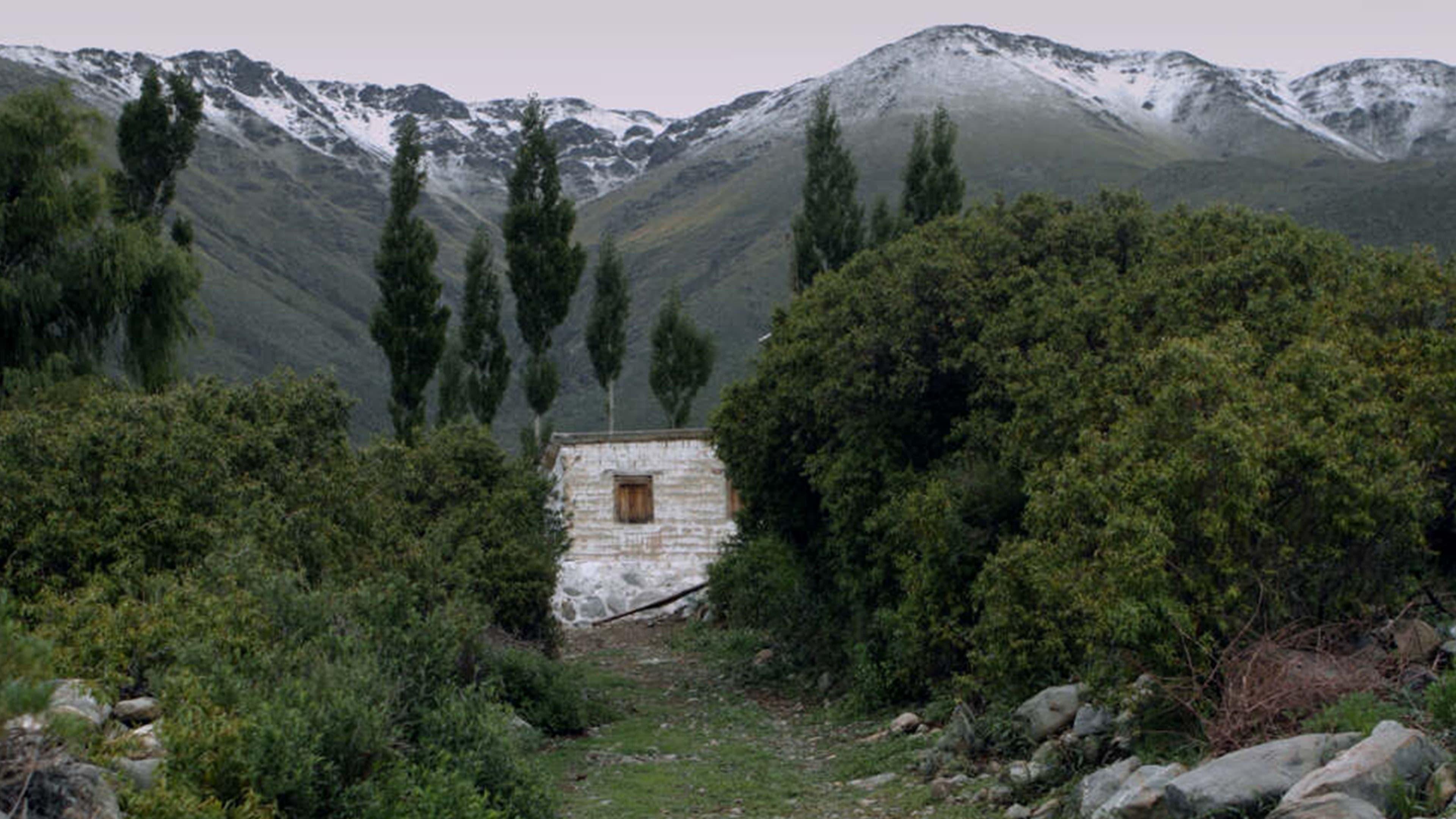 Martín Ayala backdrop