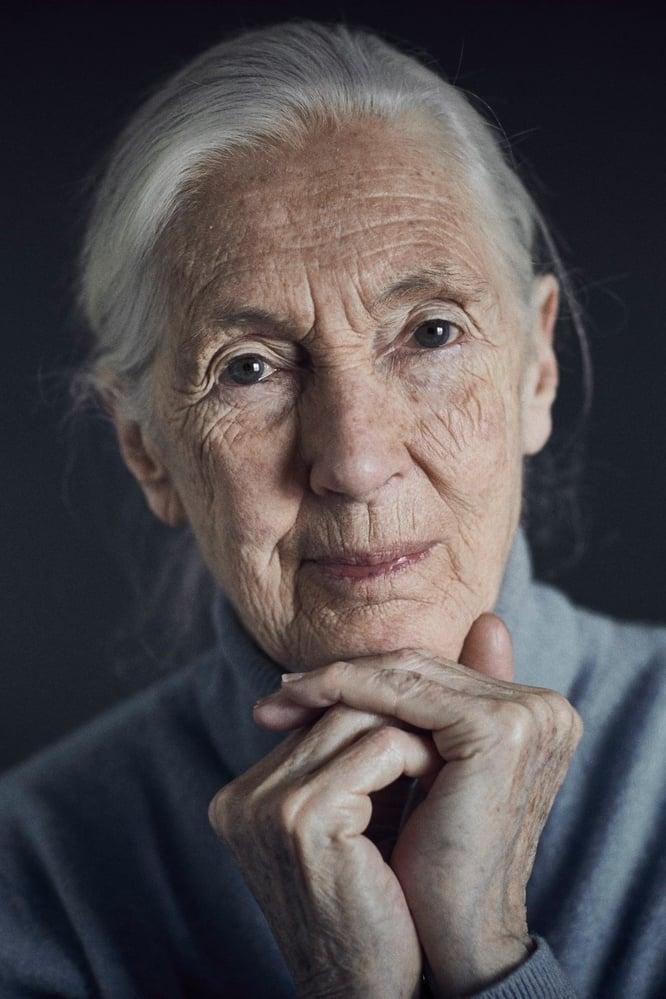 Jane Goodall poster