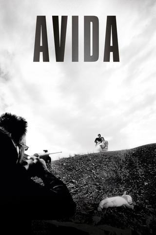 Avida poster