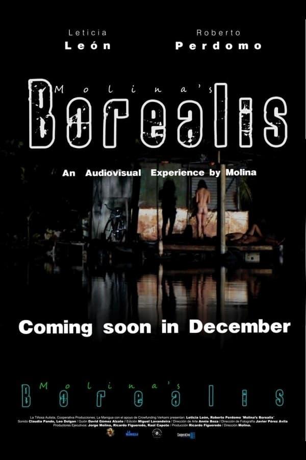 Molina's Borealis poster