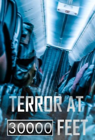 Terror at 30000 Feet poster