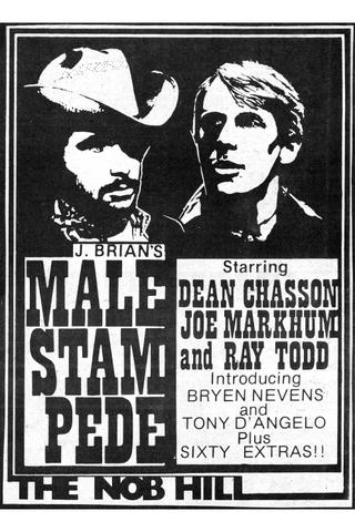 Male Stampede poster