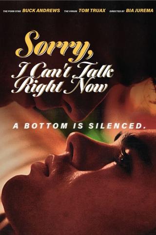 Sorry, I Can't Talk Right Now poster