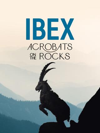 Ibex: Acrobats on the Rocks poster